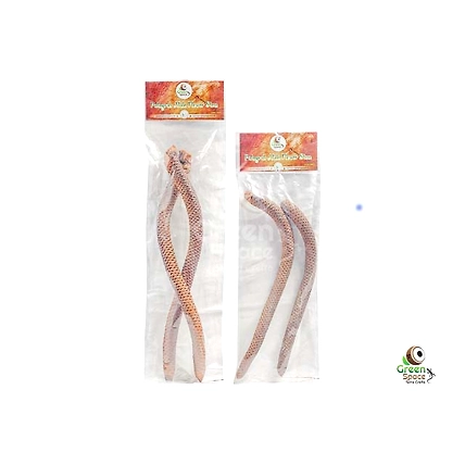 Palmyrah Male Flower Stem-2