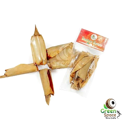 Big Bamboo Cover-TR-BBC-5PDS-01