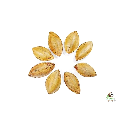 Catappa Nut (Indian Almond)-1