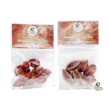 Kumbuk Tree Pods-2