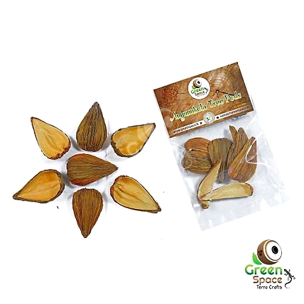 Agunukola Tree Pods-TR-AGK-6TPS-01