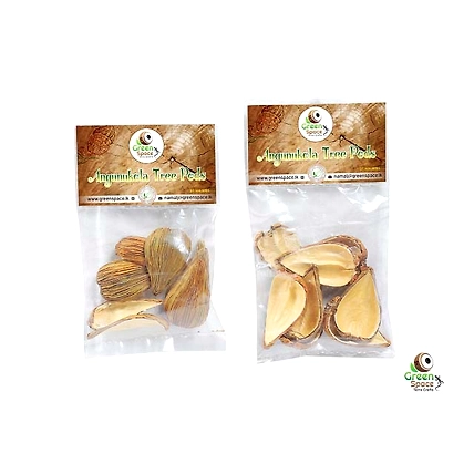 Agunukola Tree Pods-2
