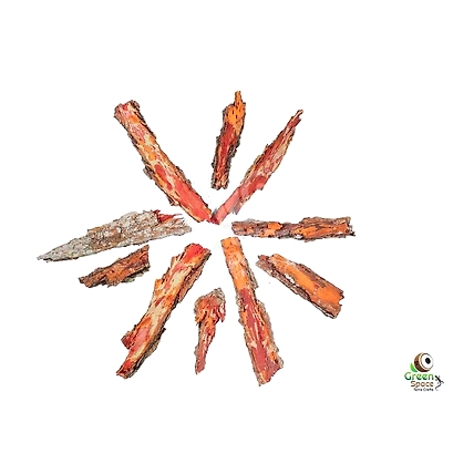 Neem Bark-1