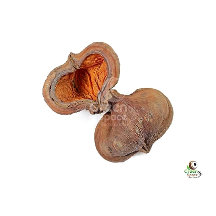 Thelambu Pods-1