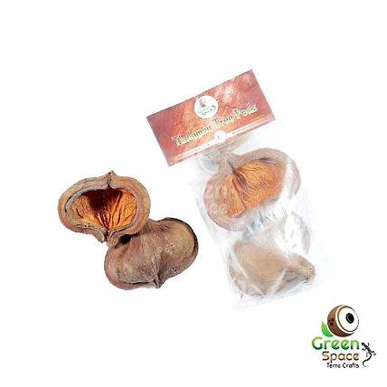 Thelambu Pods-TR-TLB-2PDS-01