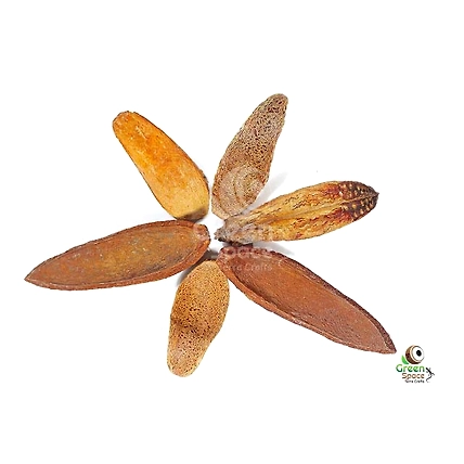 Mahagoni Pods-1
