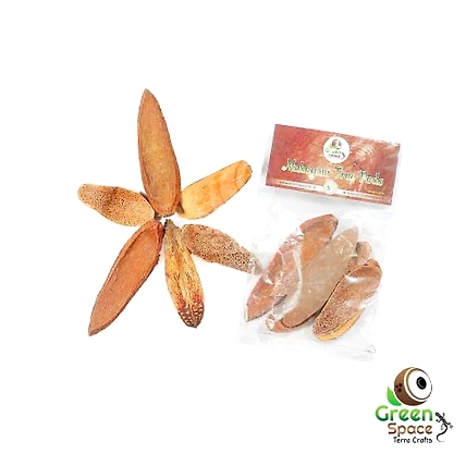 Mahagoni Pods-TR-MHG-6PDS-01