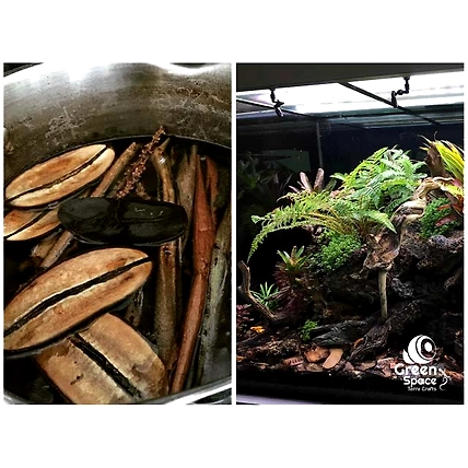 Mahagoni Pods-5
