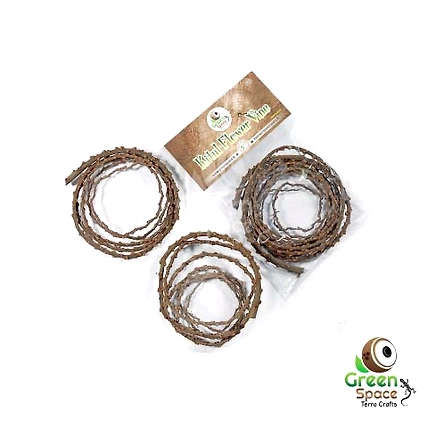 Kithul Flower Vine-TR-KTL-2VNS-01