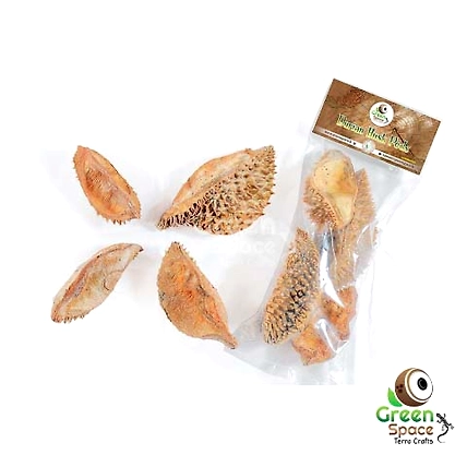 Durian Husk Pods-TR-DRN-4HSK-01