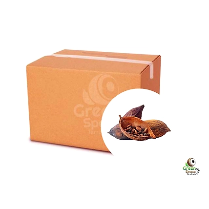 Cocoa Tree Pods-1