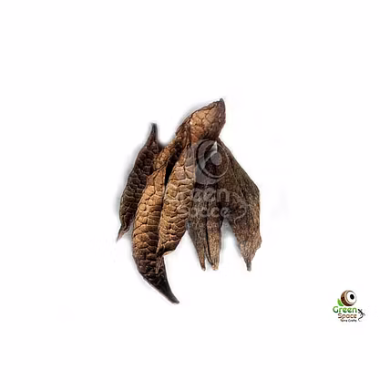 Kapok Pods-1