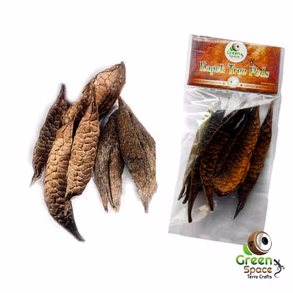 Kapok Pods-TR-KPK-4PDS-01