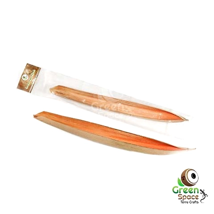 Coconut Inner Shealth-TR-CIS-1PCS-01