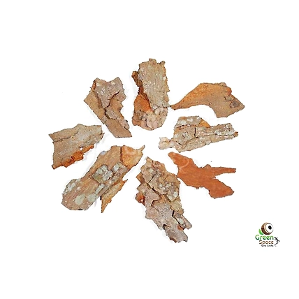 Mahagoni Bark-1