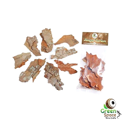 Mahagoni Bark-TR-MHG-8BK-01