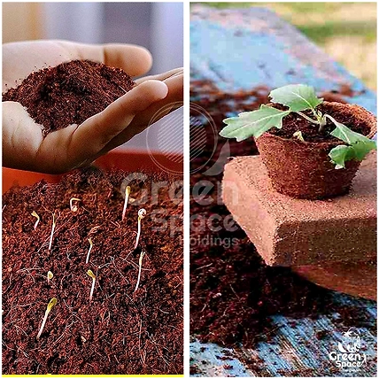 325g Coco Peat Briquette-5