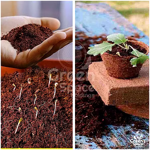 325g Coco Peat Briquette