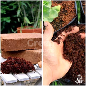 650g Coco Peat Briquette 03 In 01 Pack