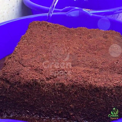 5Kg Coco Peat Block-4
