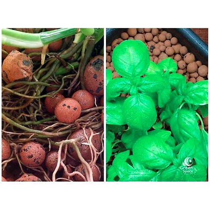Leca Fertilizer Ball-4