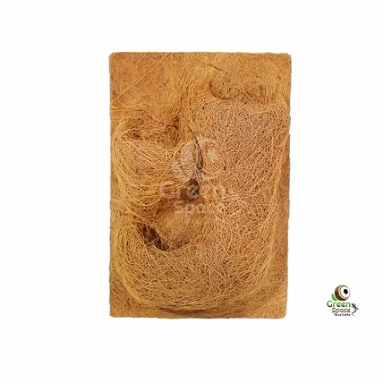 Coco Planting Background-2