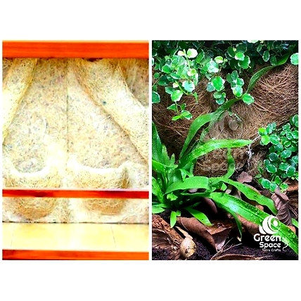 Coco Planting Background 50 X 50cm-5