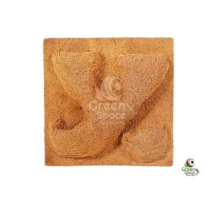 Coco Planting Background 50 X 50cm-TR-PBK-50CP-01