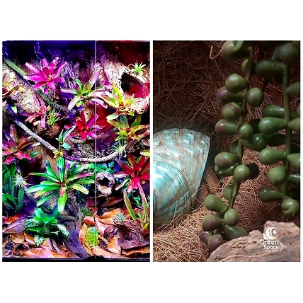 Coco Planting Background 40 X 40 Cm-5