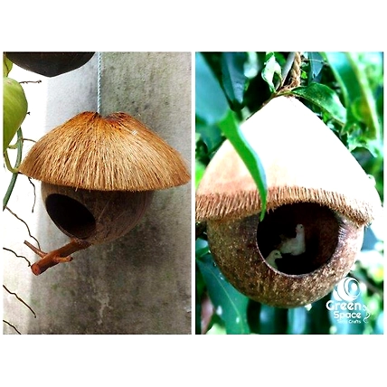 Coconut Shell Hanging Birds Nest-4