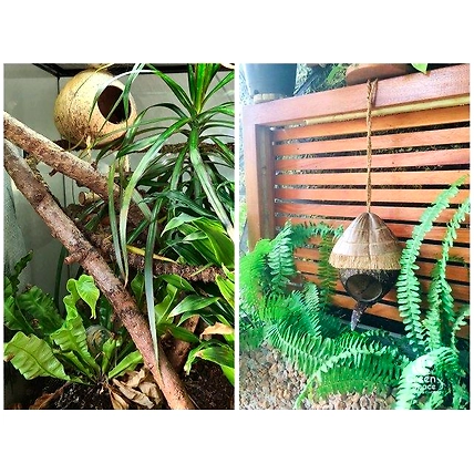 Coconut Shell Hanging Birds Nest-5