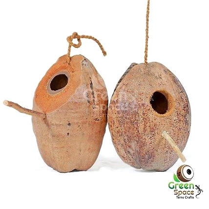 Whole Coco Birds Nest-TR-WCN-BN-01