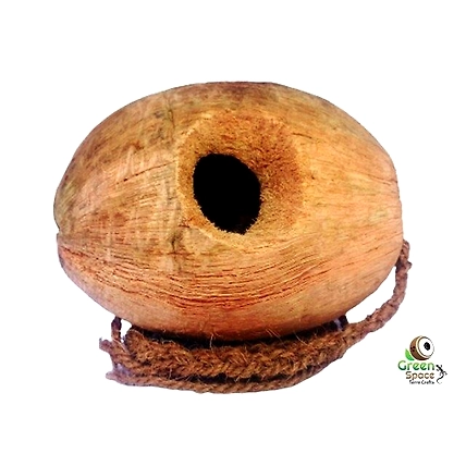 Whole Coco Birds Nest-1