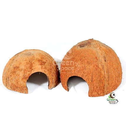 ½ Coco Shell Cave 05 In 01-1