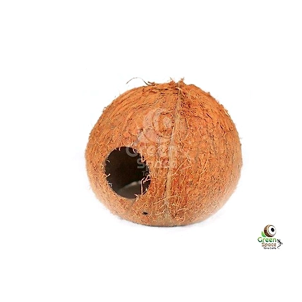 ¾ Coco Shell Cave-1