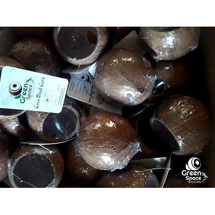 ¾ Coco Shell Cave-2