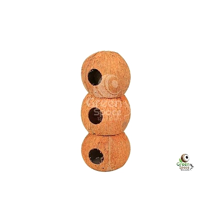 ¾ Coco Shell Cave 03 In 01-1