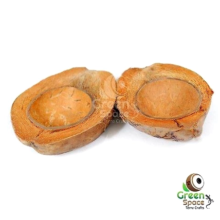 Half Coconut Bowl-TR-CO-BWL-01