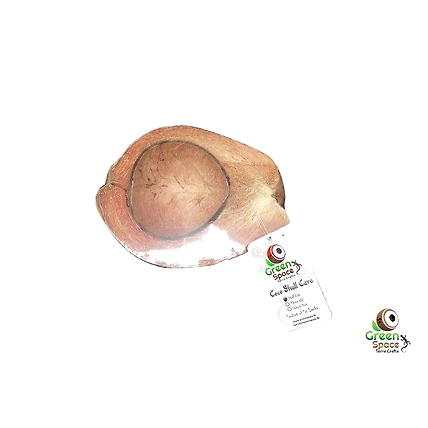 Half Coconut Bowl-1