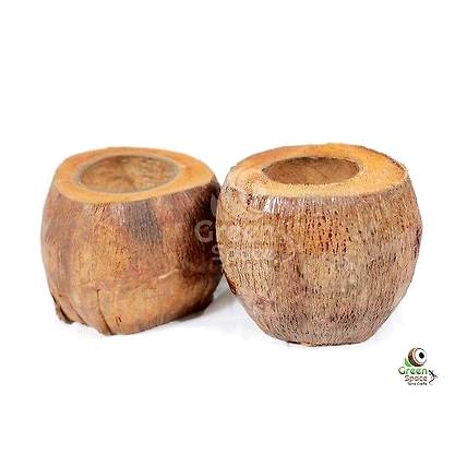 Coco Plant Holder-1
