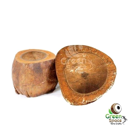 Coco Plant Holder-TR-HC-PLH-01