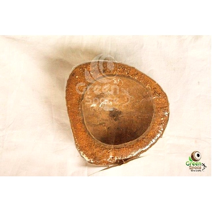 Coco Plant Holder-2
