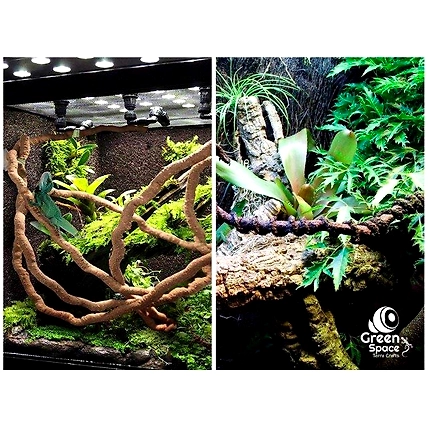 Coco Flexi Vine-5