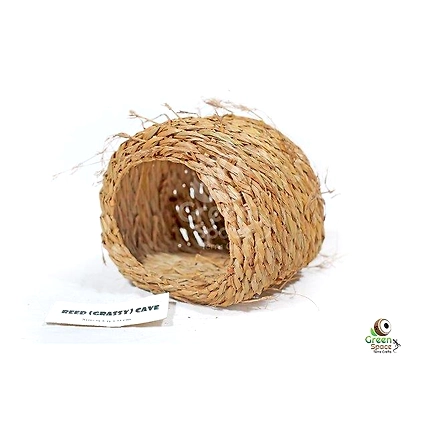 Reed Cave-2