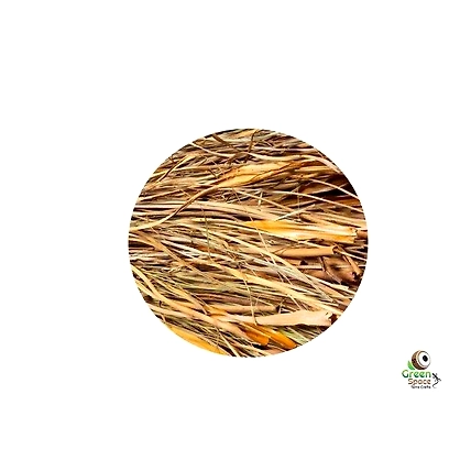 Reed Lizard Lodge Square 30cm-1