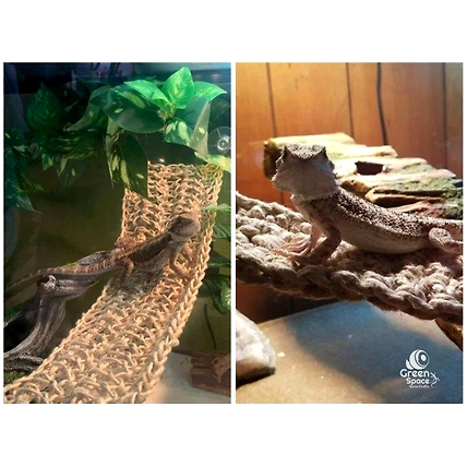 Reed Lizard Lodge Square 30cm-5