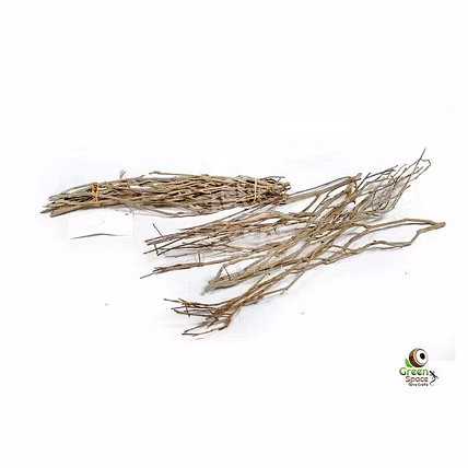 Medium Tea Bush Branches-TR-TEA-MBUSH-01
