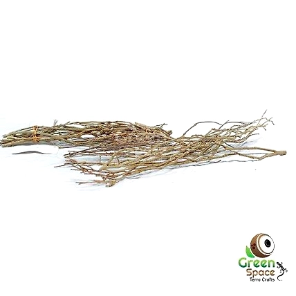 Small Tea Bush Branches-TR-TEA-SBUSH-01