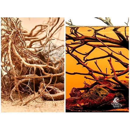 Large Tea Bush Branches-4