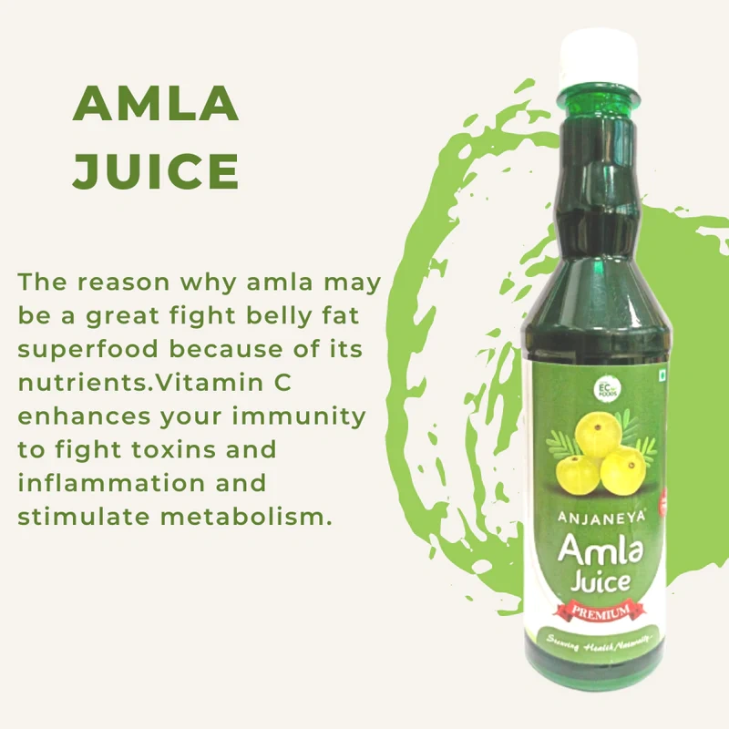 Paithan Eco Foods Anjaneya Amla Juice - 500 ml - Boosts Skin &amp; Hair Health-1